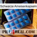 Black Ant Capsules viagra2